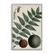 Stupell Industries Vintage Walnut & Leaf Framed Giclee Wall Art Design by Graffi*tee Studios